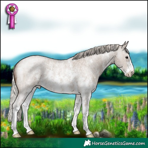 Horse Color:Silver Grullo Roan Sabino 