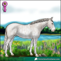 Horse Color:Silver Grullo Roan Sabino 