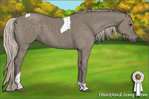 Horse Color:Silver Grullo Tobiano Brindle