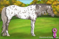 Horse Color:Silver Grullo Tobiano Near Leopard Brindle