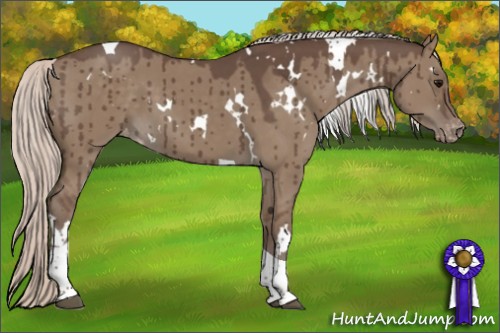 Horse Color:White Spotted Silver Grullo Tobiano Varnish Brindle 