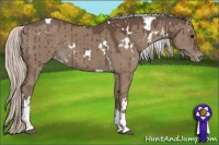 Horse Color:White Spotted Silver Grullo Tobiano Varnish Brindle