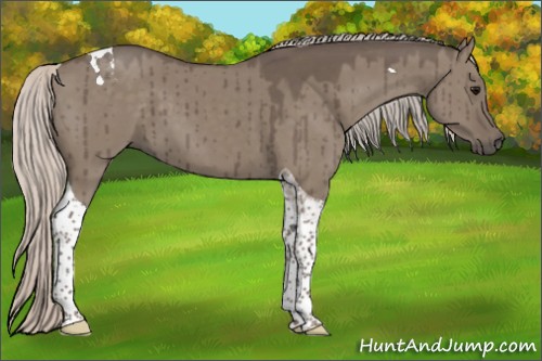Horse Color:Silver Grullo Tobiano Brindle 