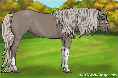 Horse Color:Silver Grullo Tobiano Brindle