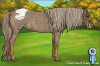 Horse Color:Chocolate Palomino Roan Snowflake Varnish