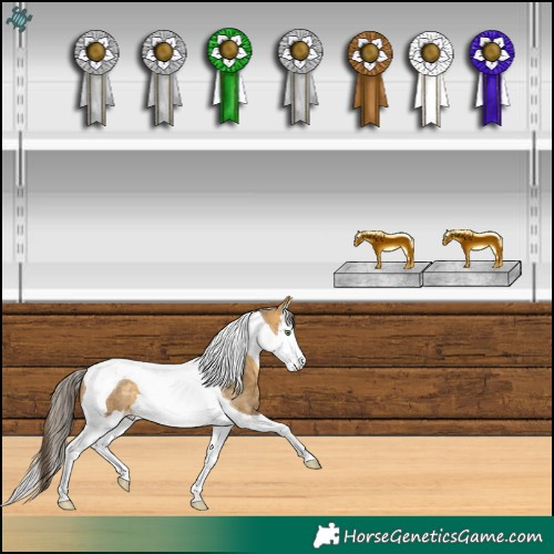 Horse Color:Sable Cream Champagne Splash Tobiano Rabicano 