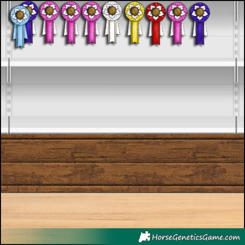 Horse Color:Gray Buckskin Splash Rabicano 