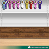 Horse Color:Gray Buckskin Splash Rabicano