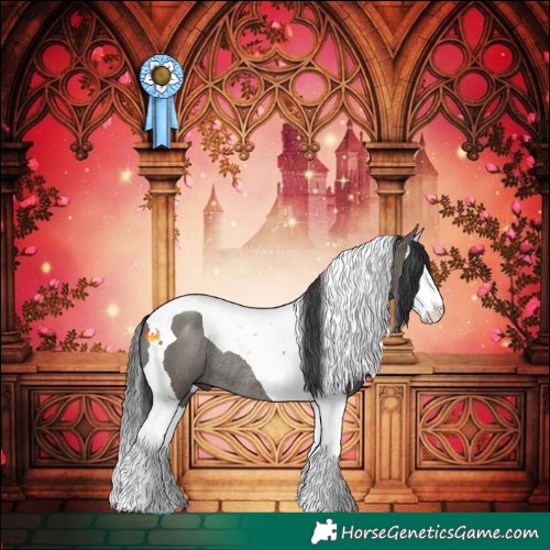 Horse Color:Grullo Splash Tobiano Rabicano 