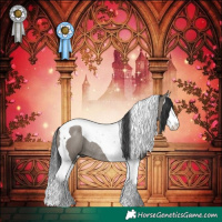 Horse Color:Grullo Splash Tobiano Rabicano