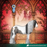 Horse Color:Grullo Splash Tobiano Rabicano 