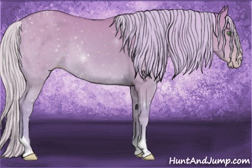 Horse Color:Watercolor Silver Classic Champagne Dun Sabino Tobiano 