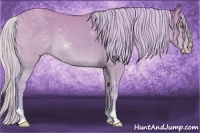 Horse Color:Watercolor Silver Classic Champagne Dun Sabino Tobiano 