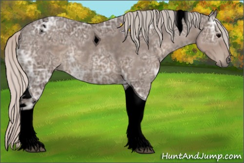 Horse Color:Void Silver Black Ice Tobiano 