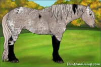 Horse Color:Void Silver Black Ice Tobiano 