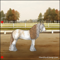 Horse Color:White Spotted Red Dun 