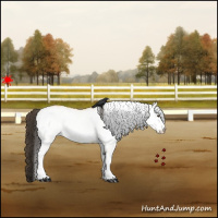 Horse Color:White Spotted Buckskin Dun