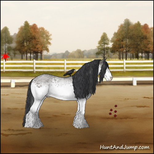 Horse Color:White Spotted Grullo Roan 