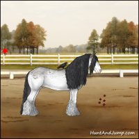 Horse Color:White Spotted Grullo Roan