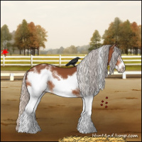 Horse Color:White Spotted Silver Bay Frame 