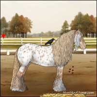 Horse Color:White Spotted Red Dun Appaloosa Rabicano