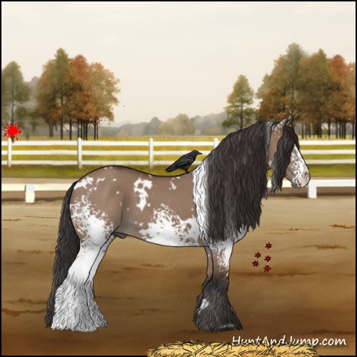 Horse Color:White Spotted Bay Dun 