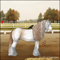 Horse Color:White Spotted Red Dun