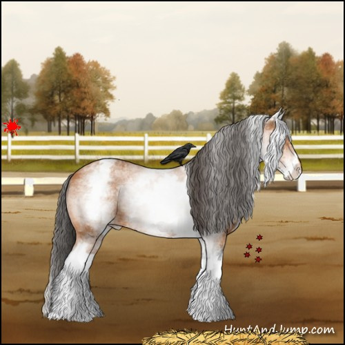 Horse Color:White Spotted Bay Varnish 