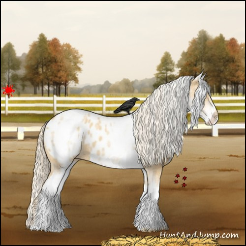 Horse Color:White Spotted Gold Cream Champagne Blanket