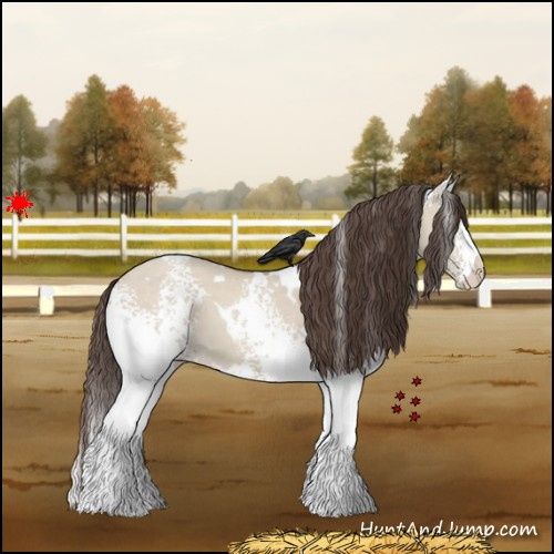 Horse Color:White Spotted Classic Champagne Dun 
