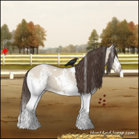 Horse Color:White Spotted Classic Champagne Dun