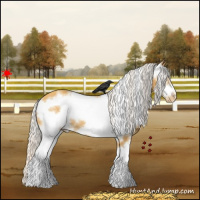 Horse Color:White Spotted Silver Amber Cream Champagne Frame Appaloosa
