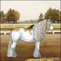 Horse Color:White Spotted Palomino Frame 