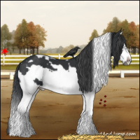 Horse Color:White Spotted Black Splash Frame