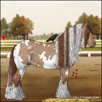 Horse Color:White Spotted Red Dun