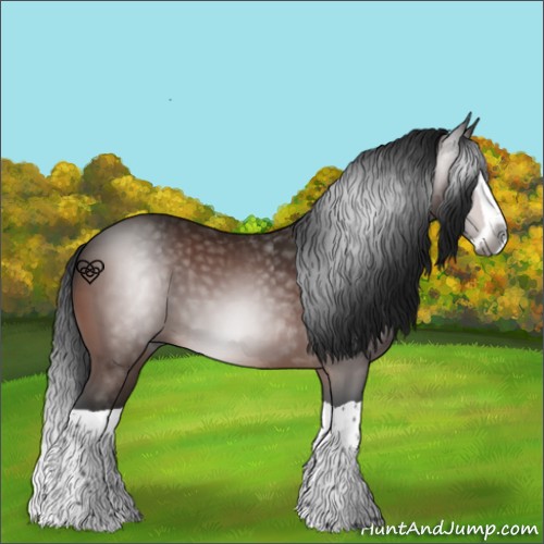 Horse Color:Gray Bay Splash 