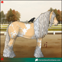 Horse Color:White Spotted Palomino Dun 