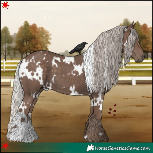 Horse Color:White Spotted Silver Black 