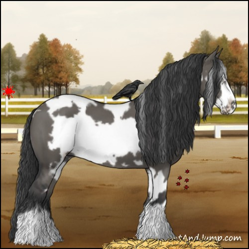 Horse Color:White Spotted Grullo Frame
