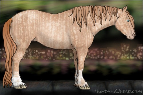 Horse Color:Gold Champagne Pearl Rabicano  and Gold Champagne Rabicano 