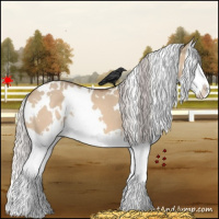 Horse Color:White Spotted Silver Bay Dun Splash 