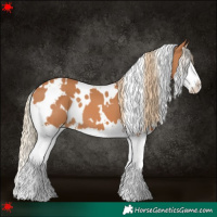 Horse Color:White Spotted Chestnut Splash