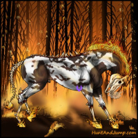 Horse Color:Brown Tobiano 