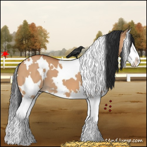 Horse Color:White Spotted Bay Dun Splash 