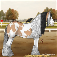 Horse Color:White Spotted Bay Dun Splash 