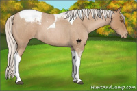 Horse Color:Silver Blue Roan Pearl Tobiano Varnish 
