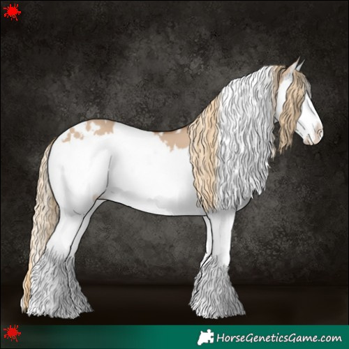 Horse Color:White Spotted Red Dun Splash 