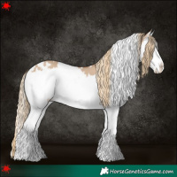Horse Color:White Spotted Red Dun Splash 