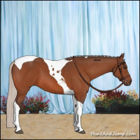 Horse Color:Silver Brown Tobiano 