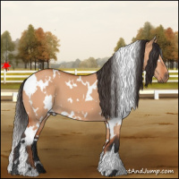 Horse Color:White Spotted Bay Dun